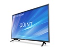 Smart Tv Led 43 HD Quint Con Google TV