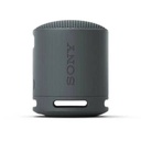 Parlante Sony SRS-XB100/BCLA Black